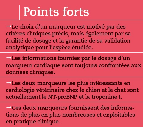 points forts